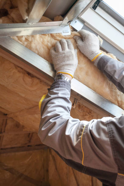 Best Insulation Installation Services in Shoreacres, TX